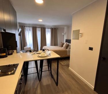 Downtown Santiago Apartment | Estudio con Estilo Entre Barrio Brasil y La Moneda Metro Santa Ana