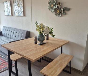 Los Andes Apartment | Hermoso y central departamento