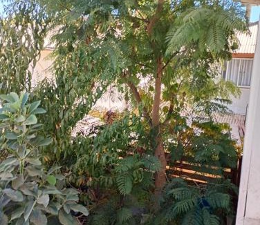Vicuna House | Valle de Elqui
