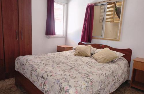 Vicuna House | Casona Mamalluca