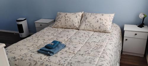 Santa Juana House | Refugio Pet-Friendly a 45 minutos de Concepción