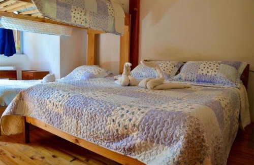 Vicuna Hostel | Hostal Michel