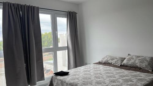 Cipolletti Apartment | Monoambiente 315