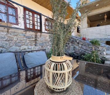 Vicuna House | Casona san isidro