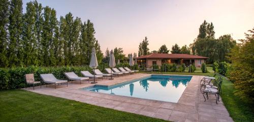 Maipu Hotel | Finca Verde Oliva Wine & Olive Estate