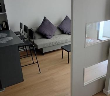 Bellas Artes Apartment | Apart Hotel Agustinas Plaza