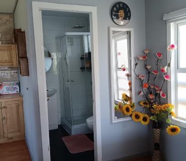 Chillan Viejo Apartment | Mini Regugio