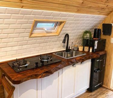 Lenca Apartment | Cabaña en el bosque