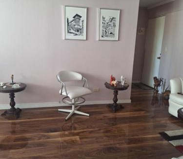 Villa Alemana Apartment | Elegante y completo alojamiento Gusev