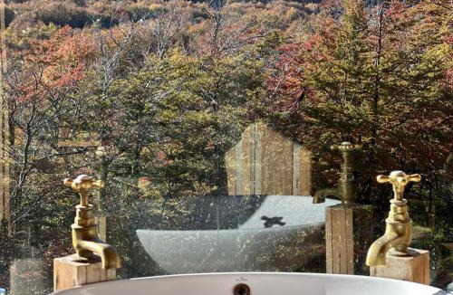Rio Ibanez Cabin | Alto Castillo Lodge