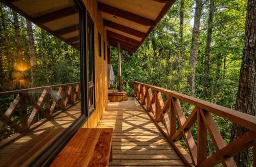 Neltume House | Casa inmersa en bosque de la Reserva Huilo Huilo
