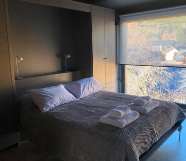 Lanin National Park Apartment | Edificio Pantera - monoambiente 23