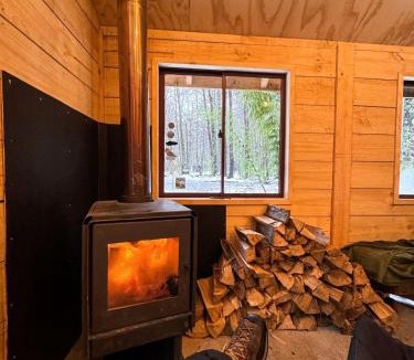 Curacautin House | Casa del Árbol - Glamping