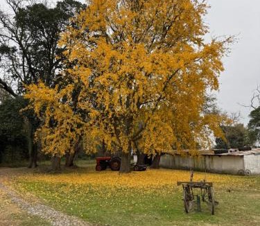 Carmen de Areco Ski Chalet | Casa del monte