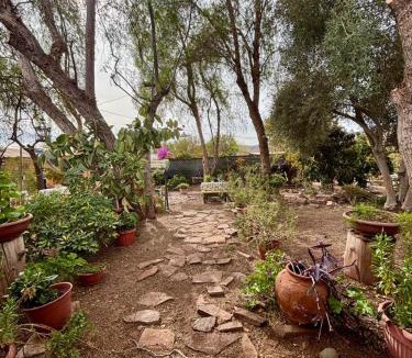 Combarbala Bed & Breakfast | Alojamiento La Rosa