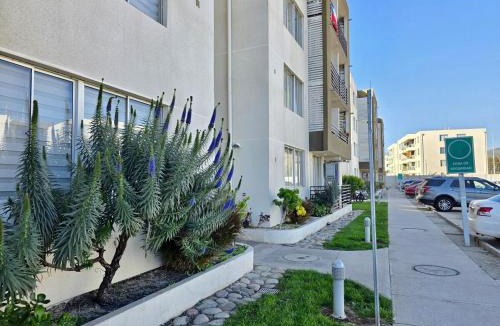 Ovalle Apartment | Ovalle Rent Moderno 4P - Nuevo 2026 - 405A