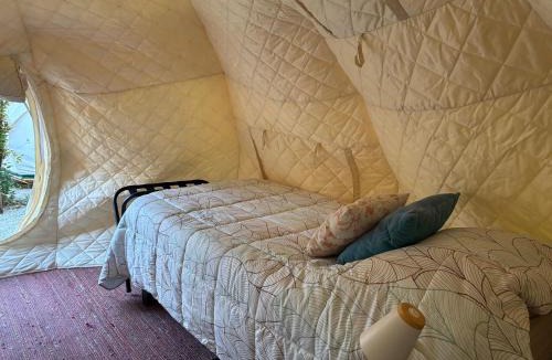 Paihuano Other | Glamping Ramas De Elqui