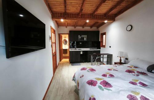 Pucon Apartment | Hermosa cabaña Pucon Caburga 2