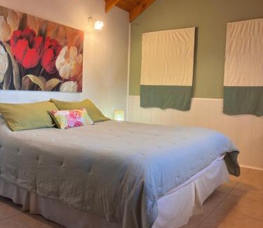 Macrozona Bahia Redonda y Primeros Faldeos Ski Chalet | Green House