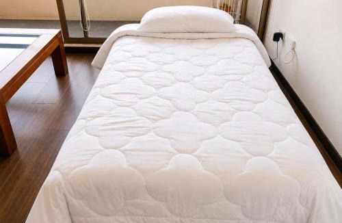 San Miguel Apartment | Amplio Departamento 1 dormitorio más sofá cama ideal para Movistar Arena bien conectado