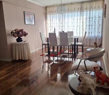 Villa Alemana Apartment | Elegante y completo alojamiento Gusev
