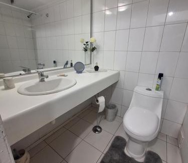 Villa Alemana Apartment | Elegante y completo alojamiento Gusev