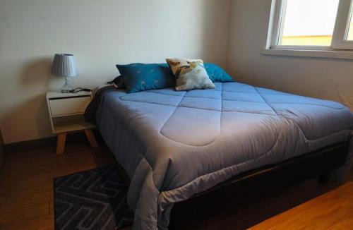 Temuco Apartment | Departamento balcon y living