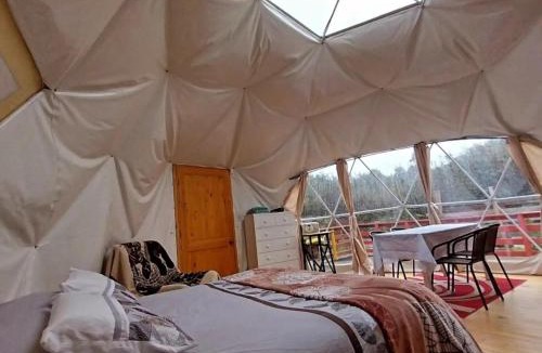 Hornopiren National Park Other | Glamping Domo