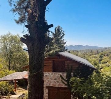 Yocsina House | Stone Cabin, PETRA HAUS