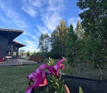 Puerto Octay House | Casa en el bosque-tinaja