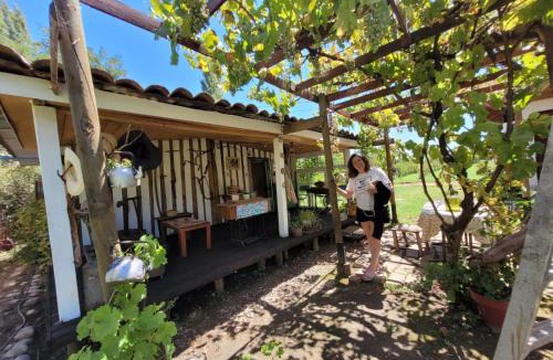 Linares Province House | Casa Berries