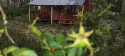 Buta Ranquil Apartment | Cabaña La 40 "Relax y descanso en zona de chacras"
