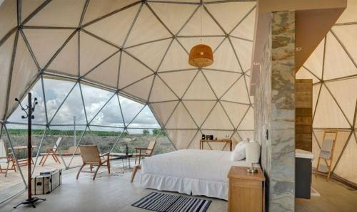 Vista Flores Cabin | Bodega Alpasión Lodge y Glamping