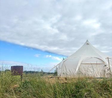 Pichilemu Other | Olas de Chile Ecocamp