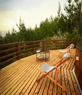 Cobquecura House | Villa Santa Rita