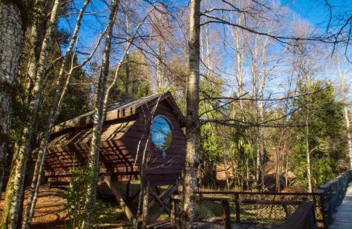 Neltume Cabin | Huilo Huilo Canopy Village