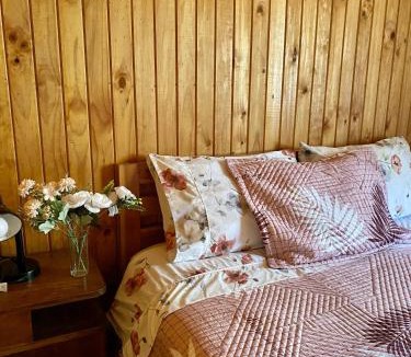 Linares Apartment | Cabañas Anny 2