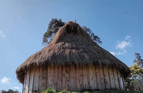 Temuco Cabin | Ruka cabaña - Alojamiento Tradicional Mapuche