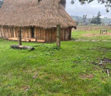 Temuco Cabin | Ruka cabaña - Alojamiento Tradicional Mapuche