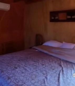 Angol Apartment | Cabañas domo el manzano de nahuelbuta