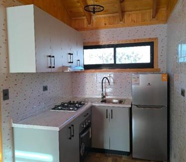 Carahue House | Cabaña nueva para 5 personas cocina equipada WIFI TV