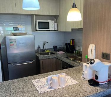 Concepcion Apartment | Departamento céntrico con estacionamiento