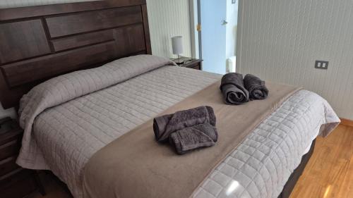 Laraquete House | Alojamiento Costanera