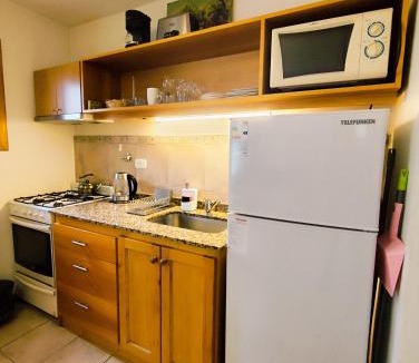 Lanin National Park Apartment | Departamento Ramayon 1