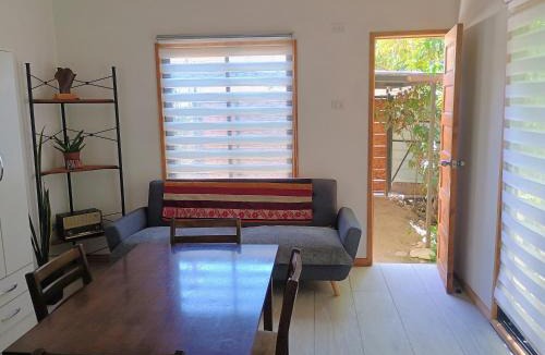 Vicuna Apartment | Cabaña Peralillo
