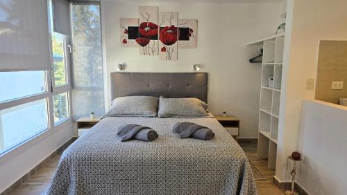 Centro Apartment | A metros de la calle principal