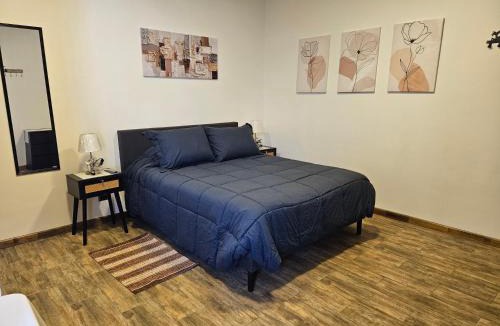 San Antonio Apartment | Apartamentos TerraLoft