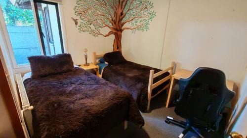 Osorno Bed & Breakfast | Punto Rockstar - Coliving
