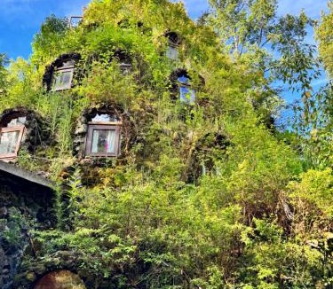 Neltume House | Casa Encantada HuiloHuilo