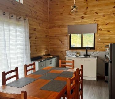 Pucon Ski Chalet | Cabañas Jardín del Río